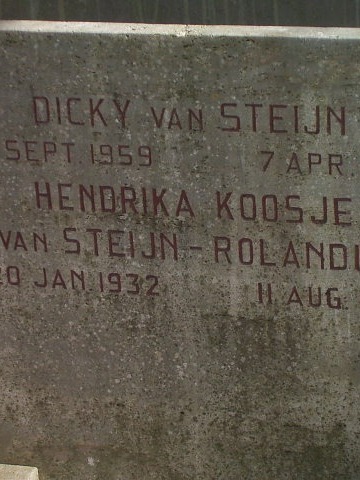 Dicky van Steijn