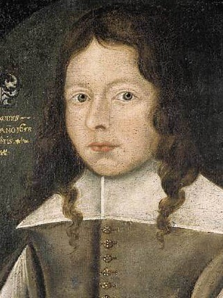 Richard Johan de Nerée