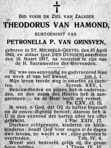 Theodorus van Hamond