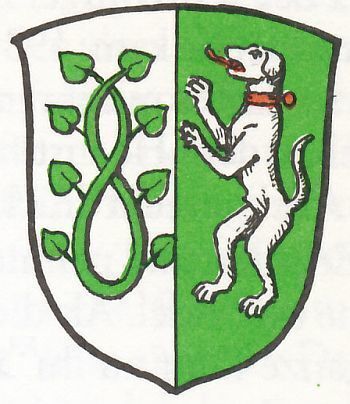 Pasfoto