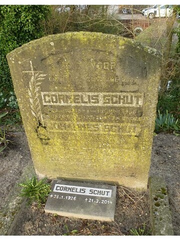 Cornelis Schut