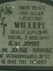 Willem de Jonge