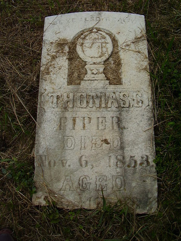 Thomas C Piper