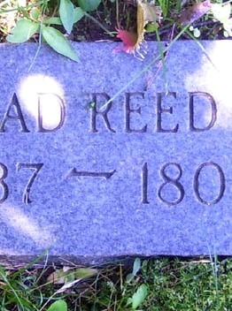 William Eldad Reed