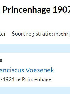 Adrianus Franciscus Voesenek