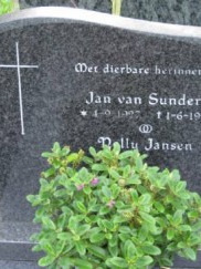 Jan van Sundert