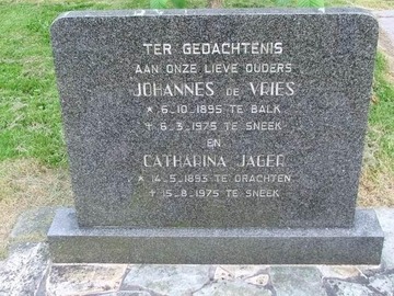 Johannes Sakes de Vries