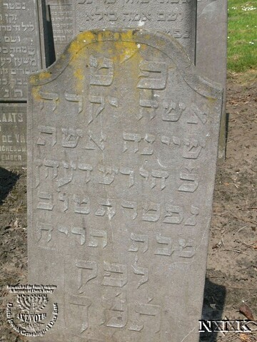 Schoontje Joseph Benjamins (Hena Zischesh)