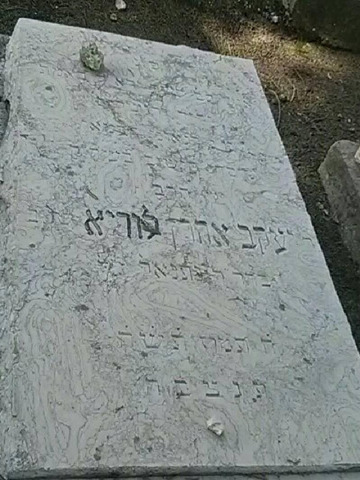 Yakov Aron Lurie