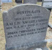 Johan Christiaan Swart