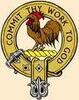 Alexander Stewart 4th High Steward of Scotland