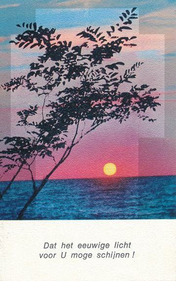 Pasfoto