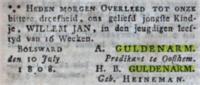Willem Jan Guldenarm