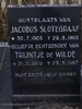 Trijntje de Wilde