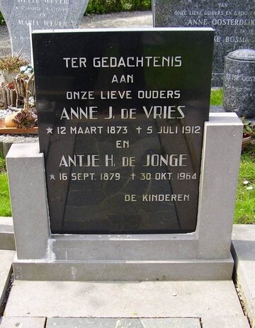 Anne de Vries