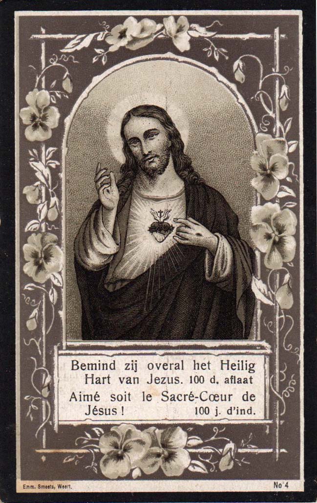 08bd2e6e-9268-4b24-85db-f416779b7766