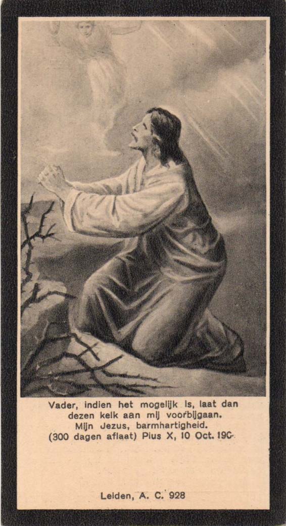 28ef4937-795b-4d0d-84b3-2b35357d7ba5