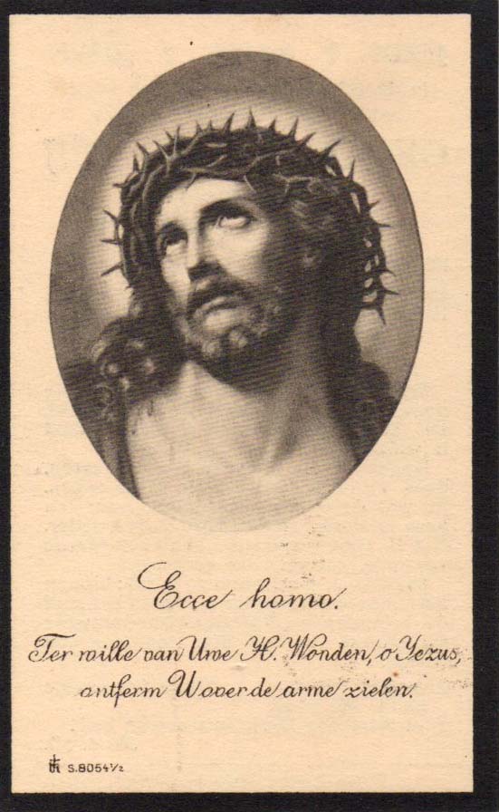 1b8bec77-53e1-4903-8445-2f419ebd463f