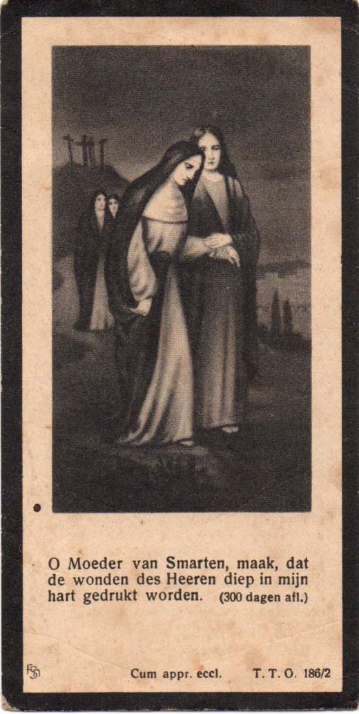 9d0385bc-017f-46e9-8928-da5c01bd063c