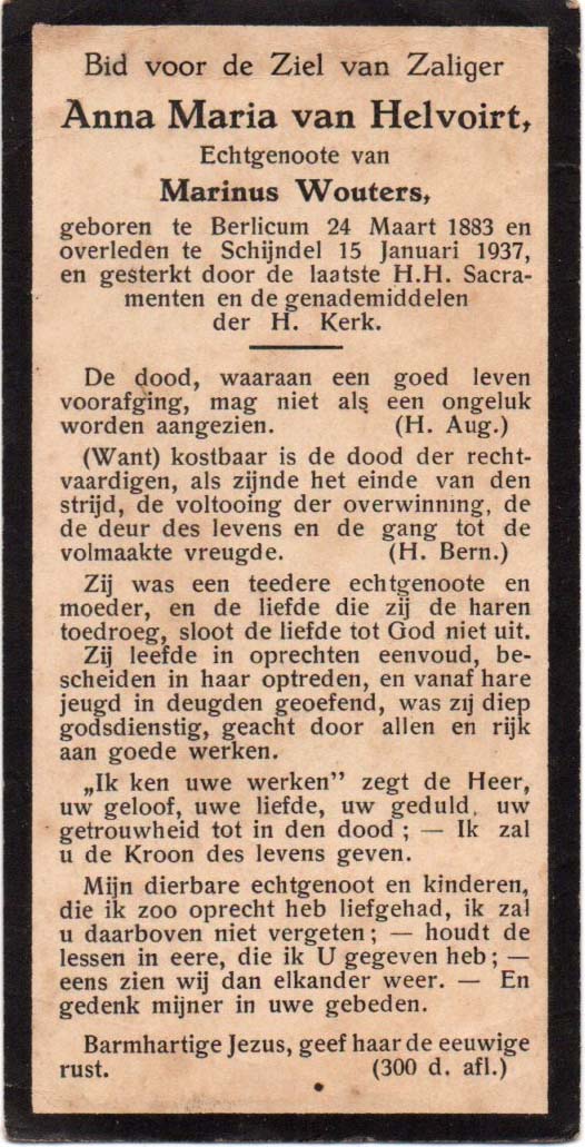 9d0385bc-017f-46e9-8928-da5c01bd063c