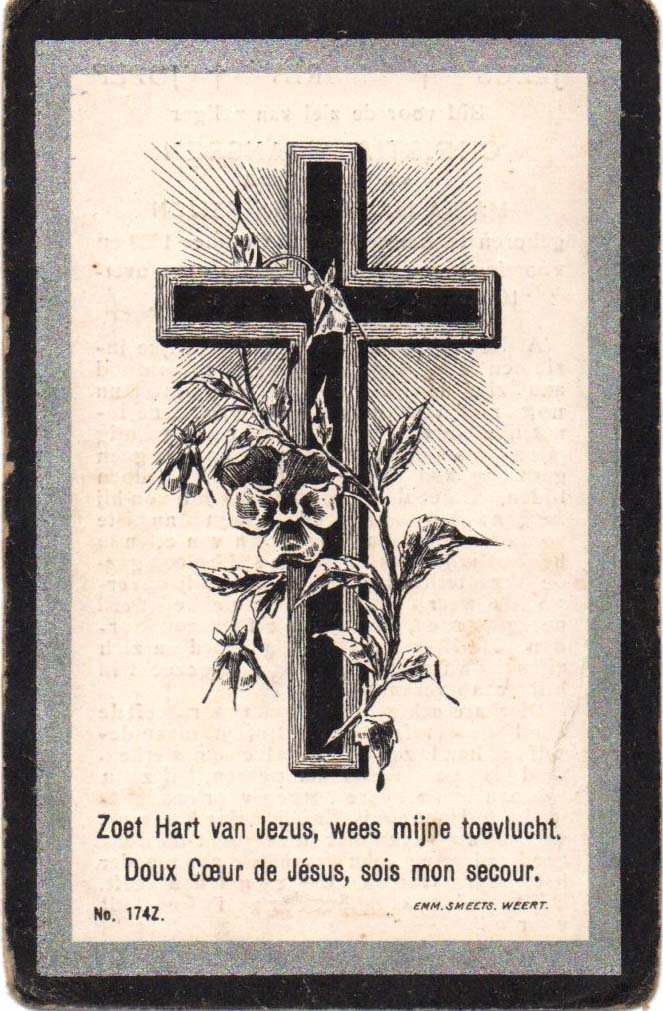 e515dc6b-7b26-4192-8be5-08083c8e00a3