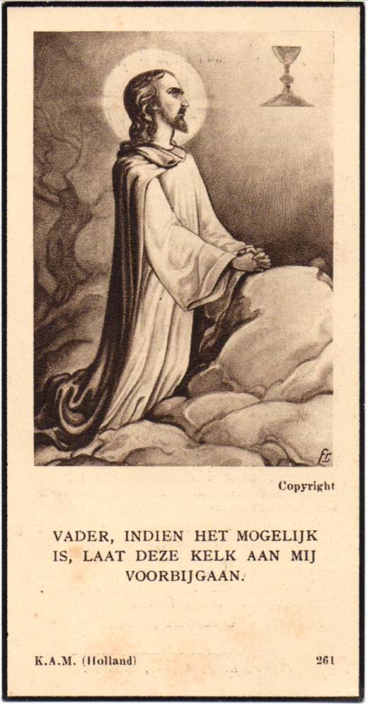 53ec00f3-d7a2-4caf-8dd7-ed29cc79d661