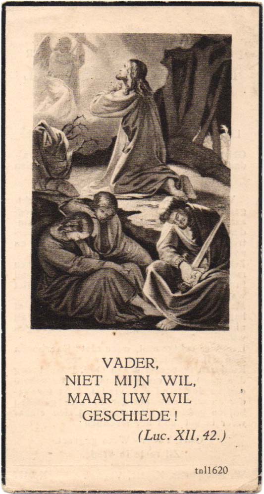 df42511a-bbdb-42cc-8755-085cb64676b6