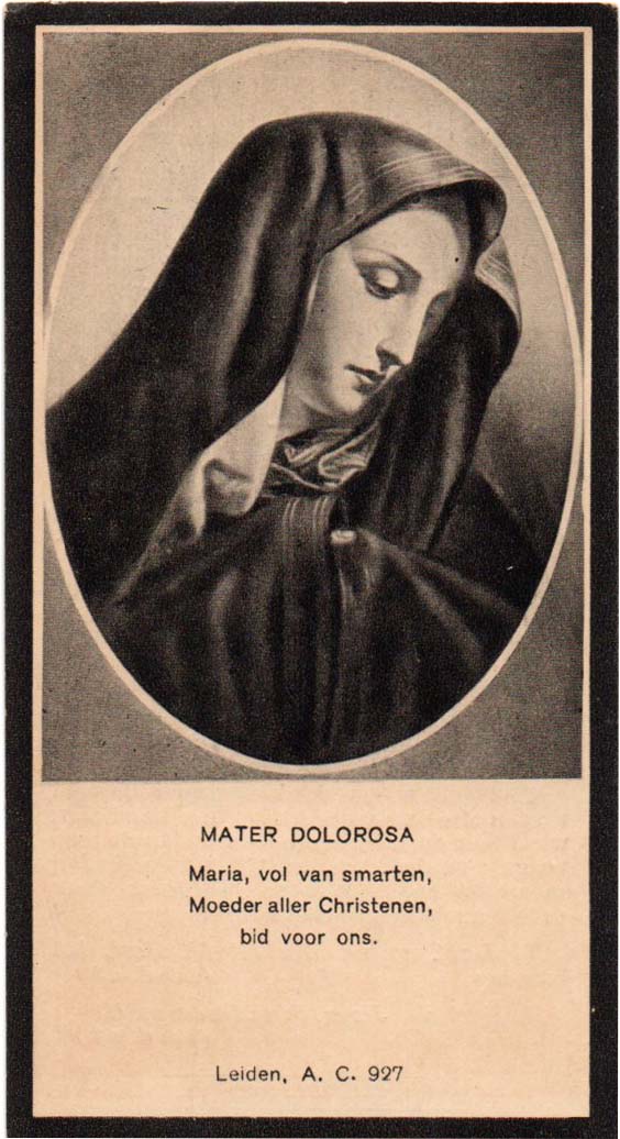 bb6d942a-e7da-4c9d-829c-069b008076ff