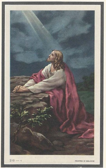 Pasfoto